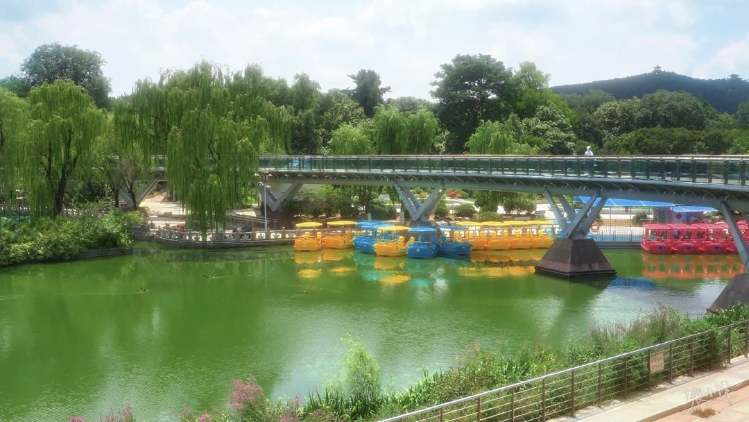 重回老植物园，旧景仍在